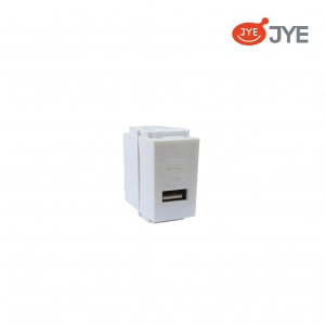 Ổ cắm USB đơn JY-E1820